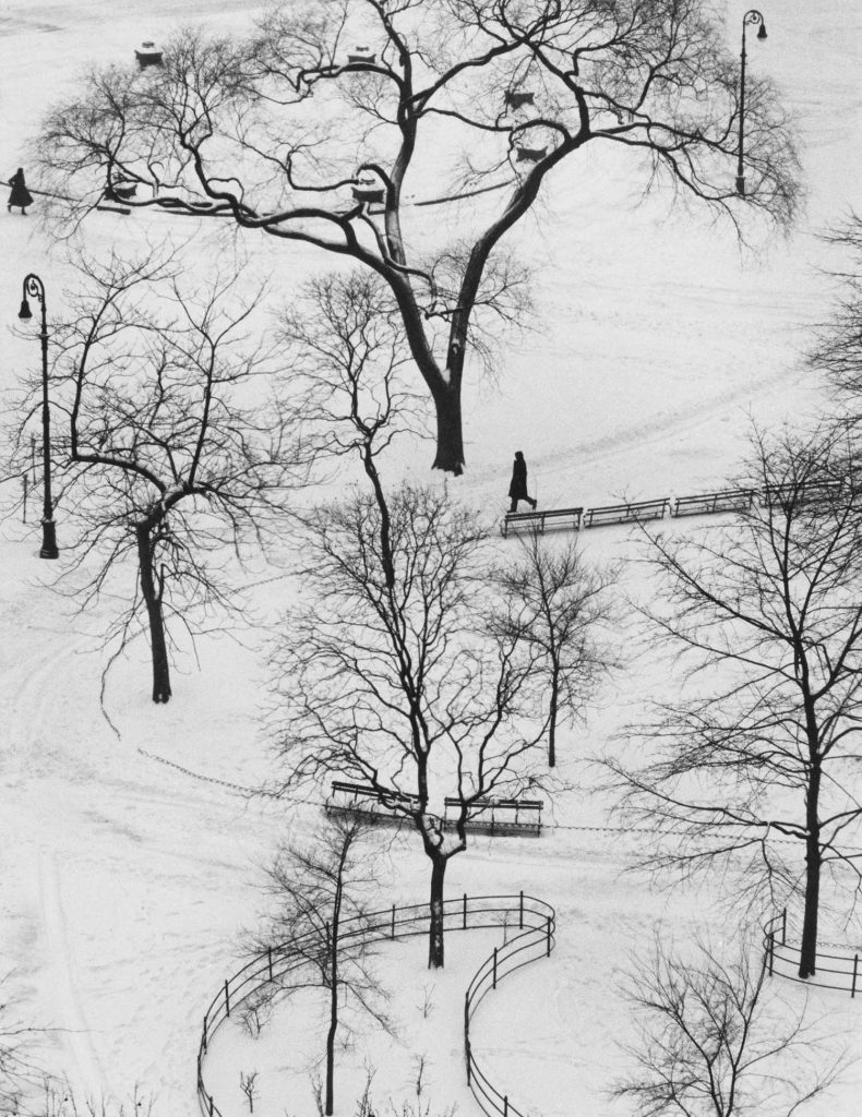andré kertész