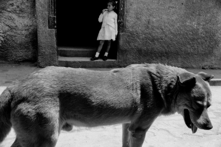 sergio larrain