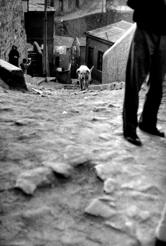 Sergio Larraín