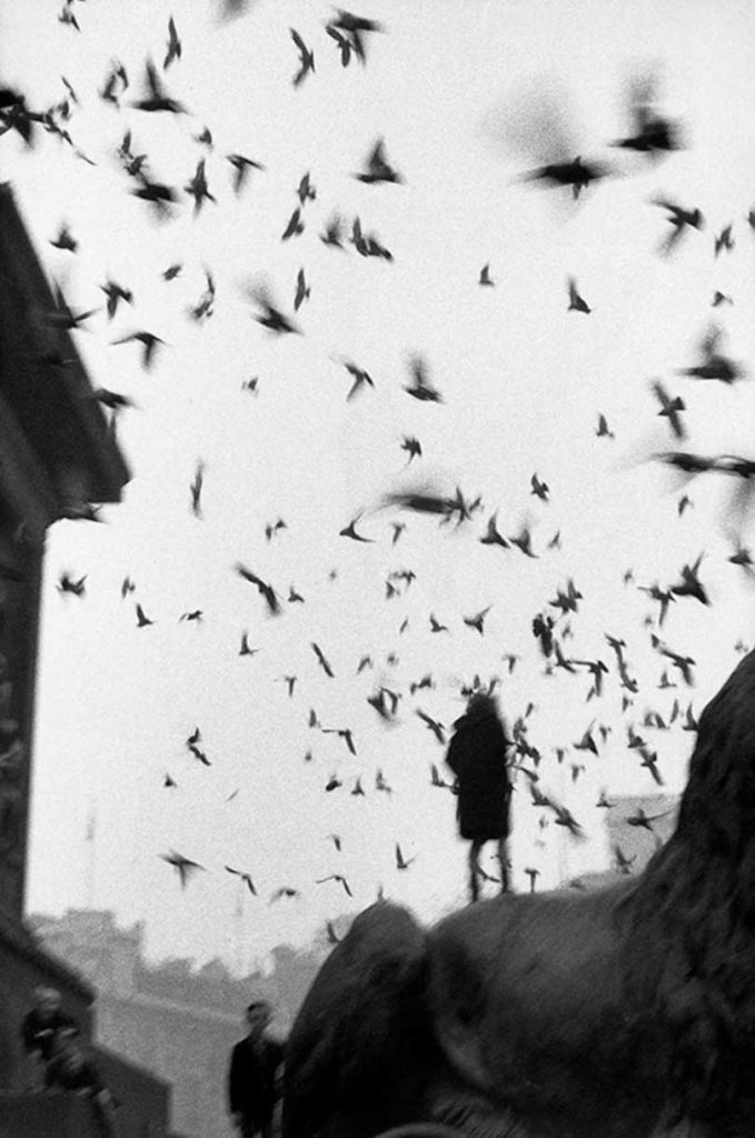 Sergio Larraín