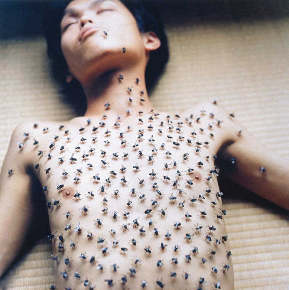 Rinko Kawauchi