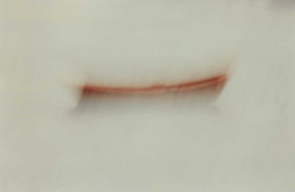 Vari Caramés, Lancha encarnada (2000)